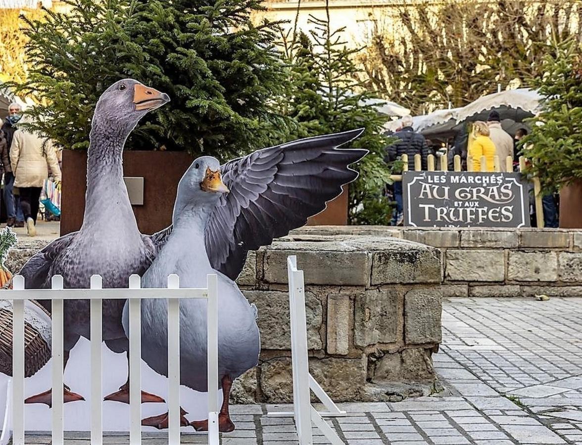 Appartement Perigueux Historique Экстерьер фото